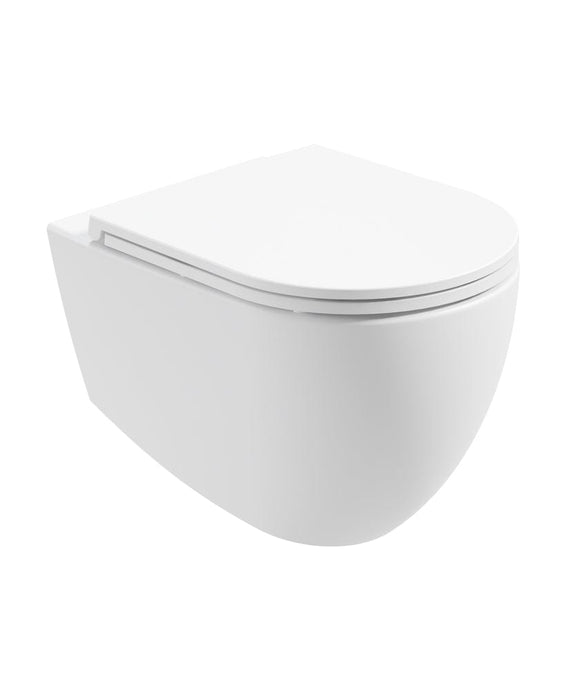 wall hung white toilet