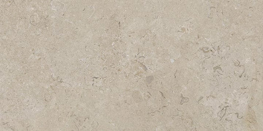 beige coralina tile 60x120cm