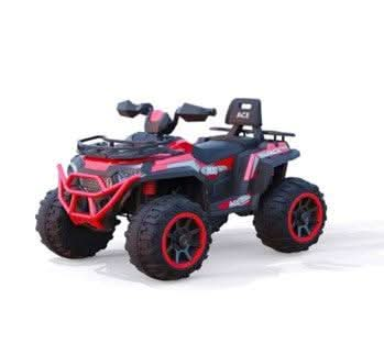 Childrens electric quad online