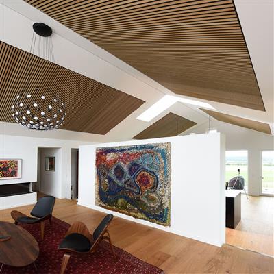 Load image into Gallery viewer, fibrotech basic acoustic panel in light oak on display
